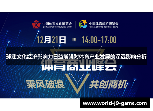 球迷文化经济影响力日益增强对体育产业发展的深远影响分析
