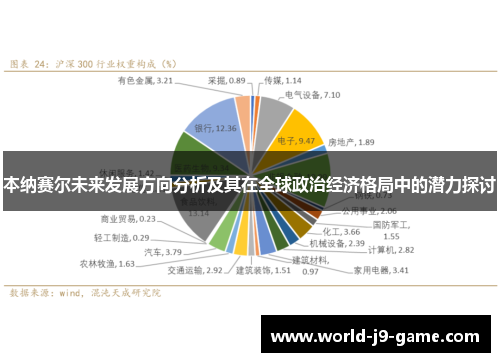 本纳赛尔未来发展方向分析及其在全球政治经济格局中的潜力探讨