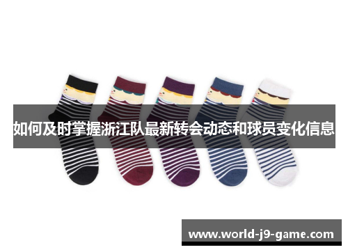 如何及时掌握浙江队最新转会动态和球员变化信息