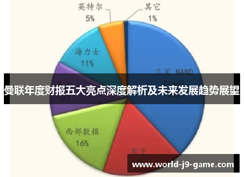 曼联年度财报五大亮点深度解析及未来发展趋势展望