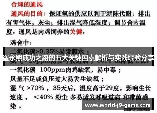 崔永熙成功之路的五大关键因素解析与实践经验分享