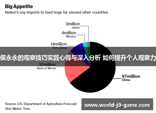 侯永永的观察技巧实践心得与深入分析 如何提升个人观察力