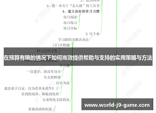 在预算有限的情况下如何高效提供帮助与支持的实用策略与方法