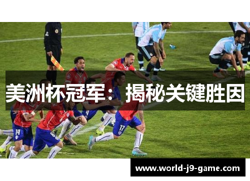 美洲杯冠军：揭秘关键胜因